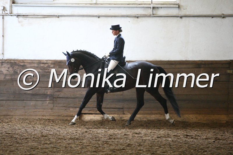 009M3311_Pirella_Dressur A.JPG